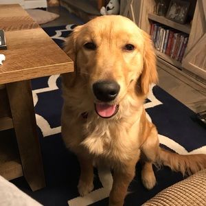 Meet your Posher, Renee